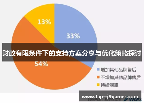 财政有限条件下的支持方案分享与优化策略探讨 财政有限条件下的支持方案分享与优化策略探讨